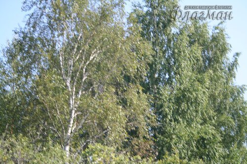 img_4128_resize